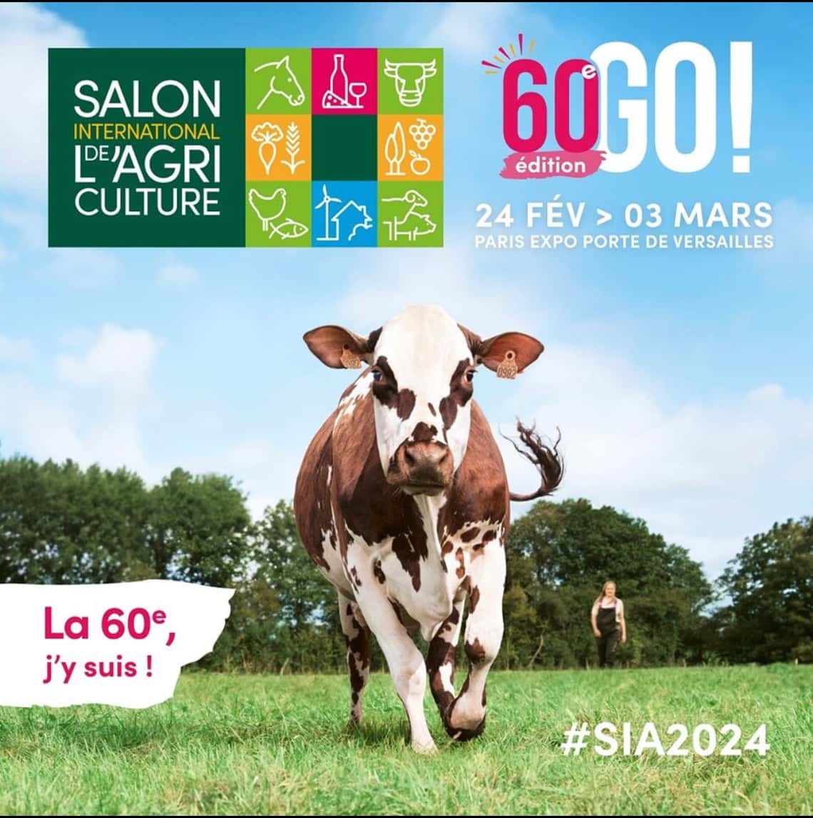 Salon SMAD | Artpina®